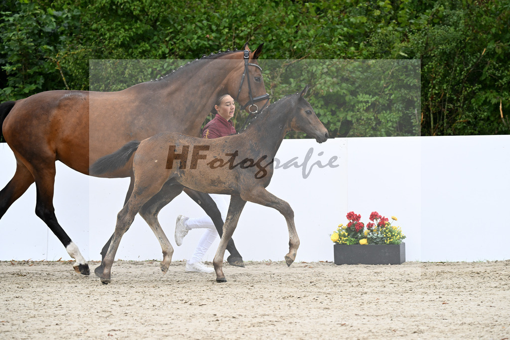 Charthago Blue x Chatender_HF_Gruber_23250390 | hf-fotografie - Realizzato con Pictrs.com