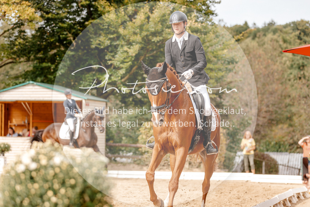 3I6A3884 | Stimmungsvolle Portraits und Reitsportfotografie im Ruhrgebiet und im Münsterland.

Pferdefotografie, Hundefotografie, Tierfotografie, Reportagen, Portraits von Tier und Mensch, Turnierfotografie in Bochum, Recklinghausen, Marl, Haltern am See, Dülmen.. - Realisiert mit Pictrs.com