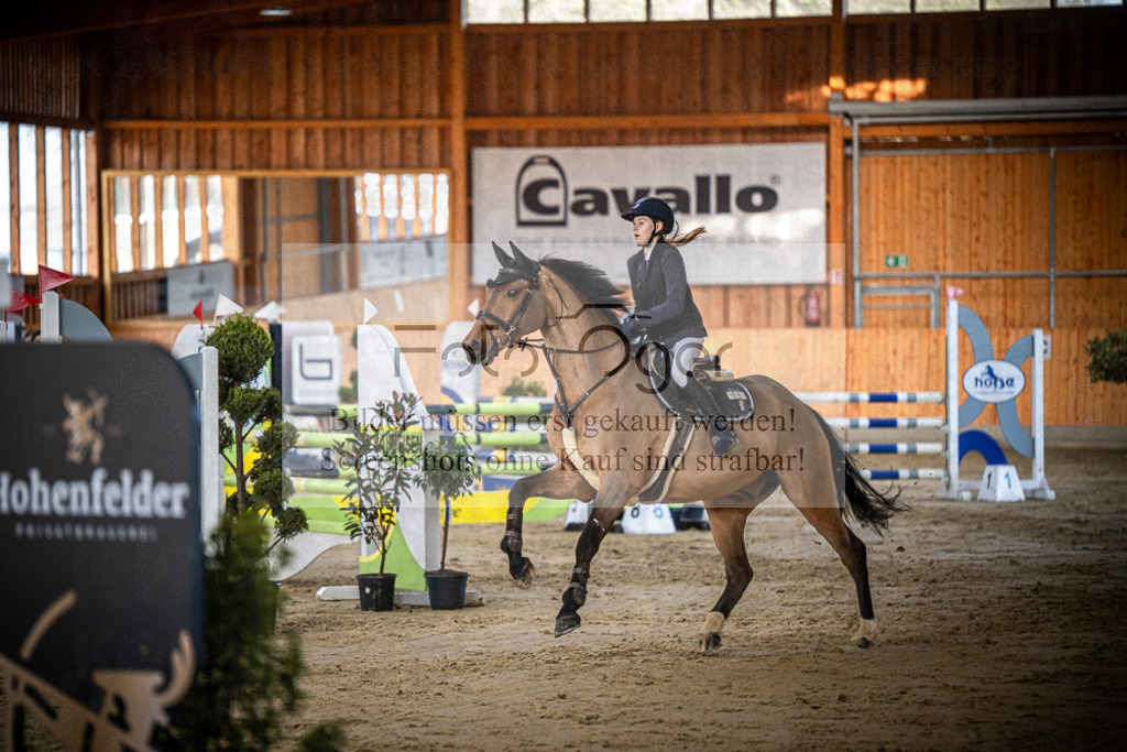 DOS_0816 | Entdecke hochwertige Reitturnierfotos von Foto Oger. Professionell, emotional und authentisch – jetzt Lieblingsmomente im Shop bestellen.Deutschlandweite Turnierfotografie. - Realisiert mit Pictrs.com