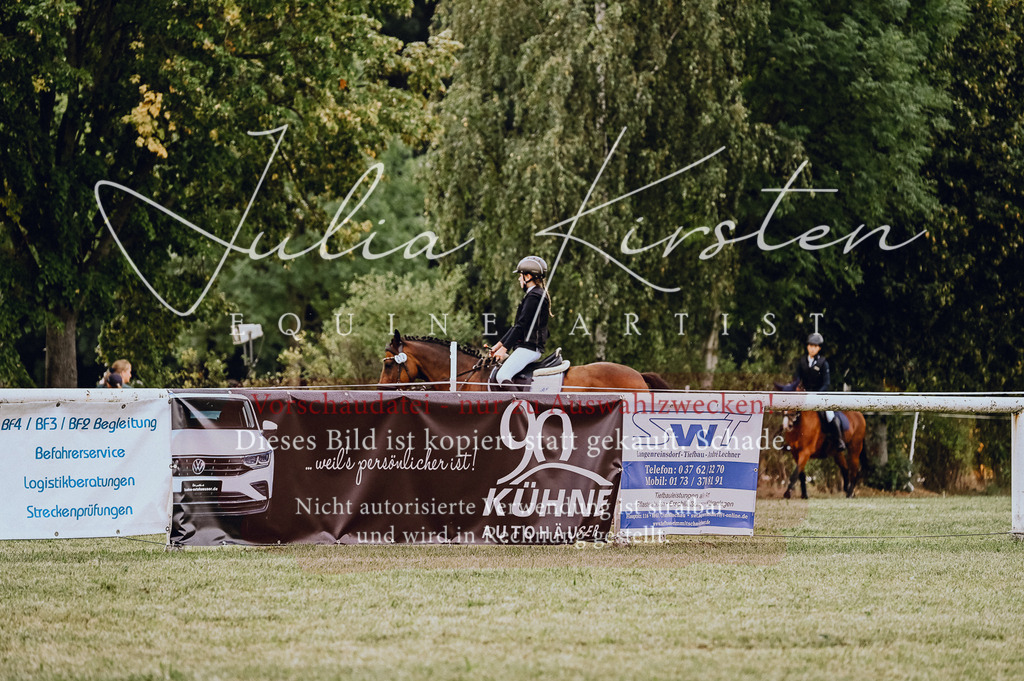 DSC_5420 | Pferde- und Turnierfotografie in Westsachsen. Pferdeportraits, Auftragszeichnungen und intuitive Kunst.