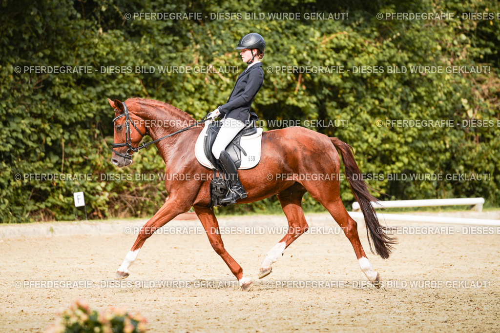 DSC03486 | Pferdegrafie