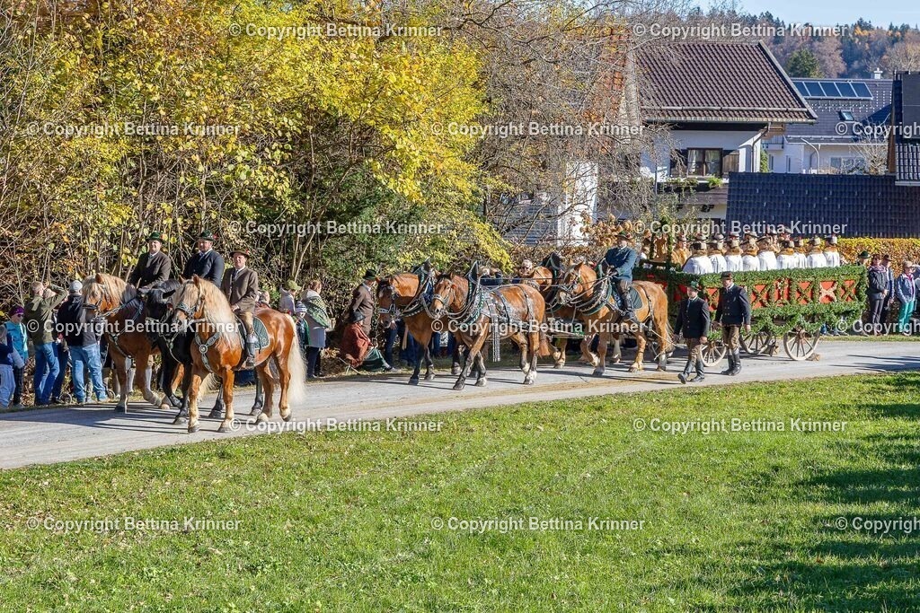 LBT25-764 | foto-bettina-krinner - Realisiert mit Pictrs.com