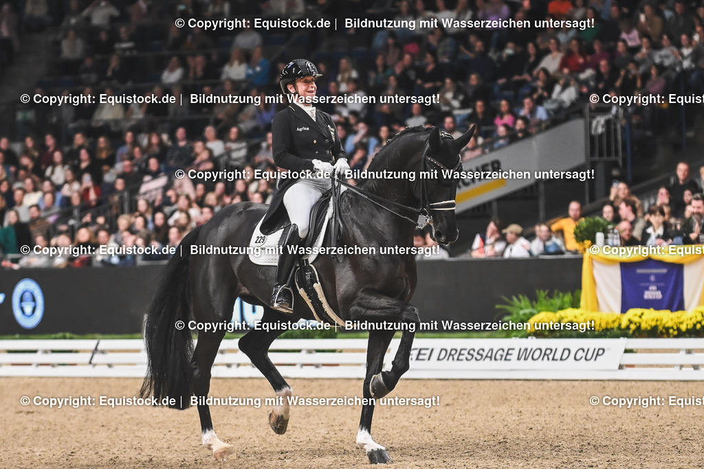 20241116_Dressur-Kür_TOMsPiC_0296 | Foto: Thomas Hartig