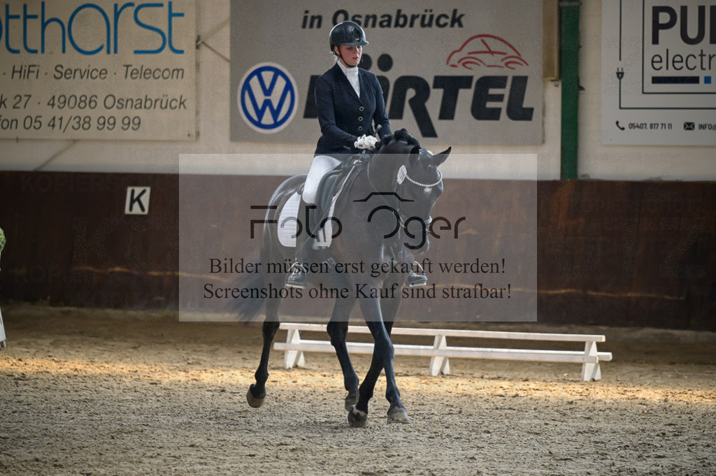Reitturnier Voxtrup | Entdecke hochwertige Reitturnierfotos von Foto Oger. Professionell, emotional und authentisch – jetzt Lieblingsmomente im Shop bestellen.Deutschlandweite Turnierfotografie. - Realisiert mit Pictrs.com