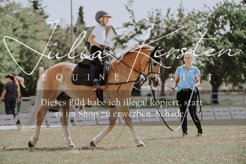 DSC_7758 | Pferde- und Turnierfotografie in Westsachsen. Pferdeportraits, Auftragszeichnungen und intuitive Kunst.