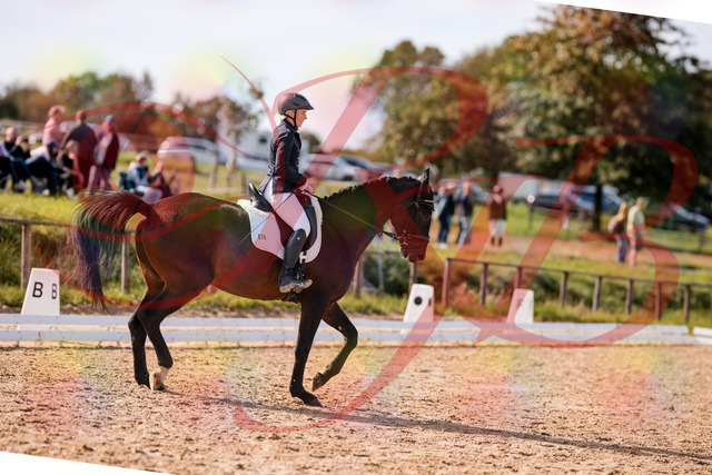 2026_10_03_Siefer-Hof_133824_Z81_95961737 | Professionelle Reitsport-, Turnier- und Eventfotografie von Robert Broda. Galerien mit ausgewählten und bearbeiteten Bildern direkt online ansehen und bestellen.