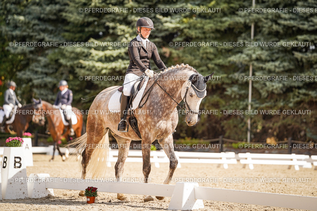 DSC00986 | Pferdegrafie