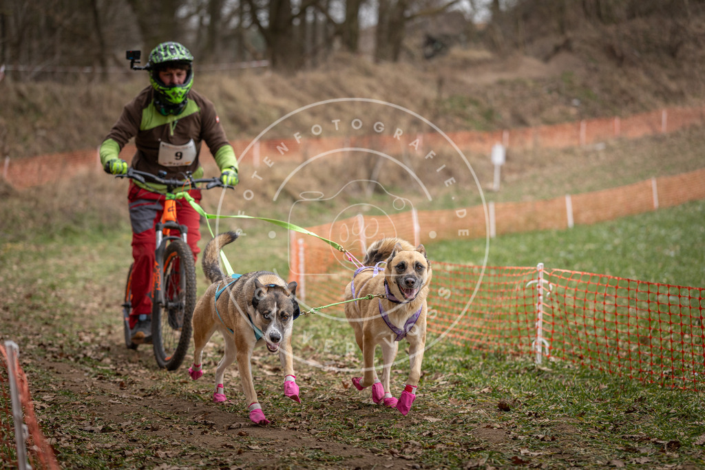 Pfotenfotografie_DV3A6612 | Hundefotografie, Tierfotograf, Pfotenfotografie, Fotoshooting Hund, Hunde Portrait, Hundesport, Hundeportraits, Heideshooting, Hunde, Sportfotograf, Hundefotograf, Turnierhundsport, THS,  - Realisiert mit Pictrs.com
