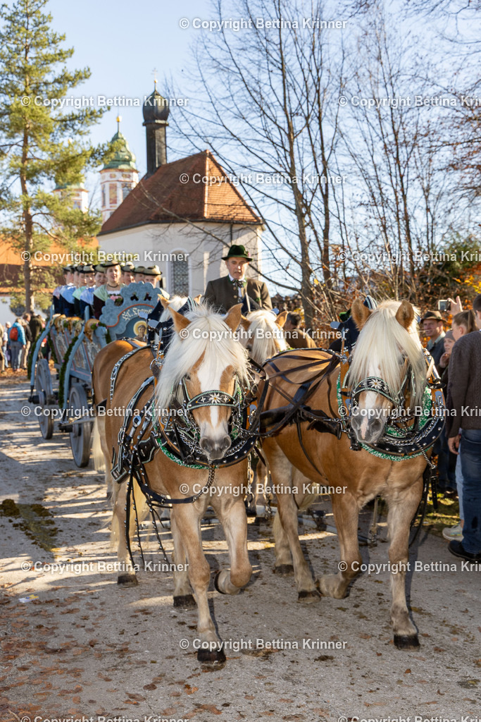 LBT25-1081 | foto-bettina-krinner - Realisiert mit Pictrs.com