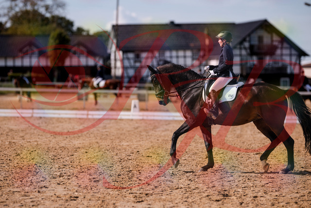 2026_10_03_Siefer-Hof_133852_Z81_97901931 | Professionelle Reitsport-, Turnier- und Eventfotografie von Robert Broda. Galerien mit ausgewählten und bearbeiteten Bildern direkt online ansehen und bestellen.