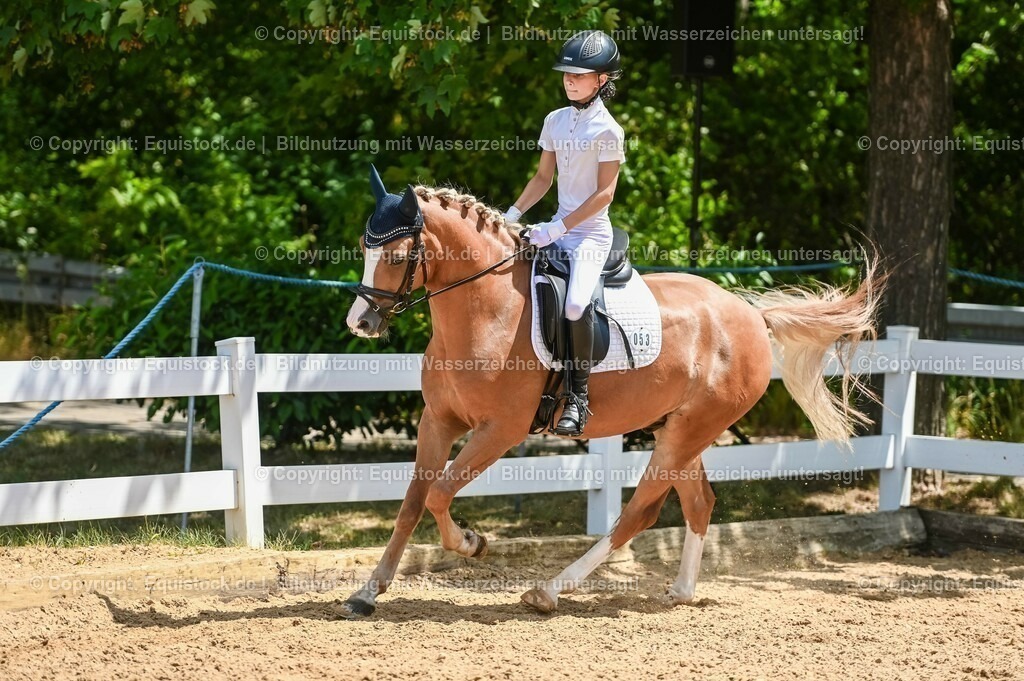 20230715_09_Dressur-WB_0285 | equistock