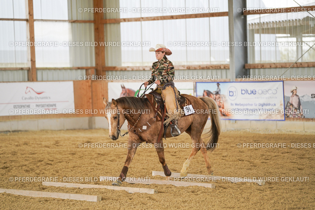 DSC03362 | Pferdegrafie