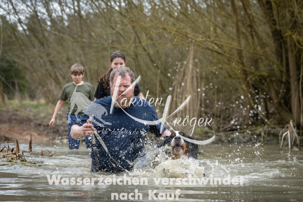 1541_ZZ93665 | kk-dogfotos
