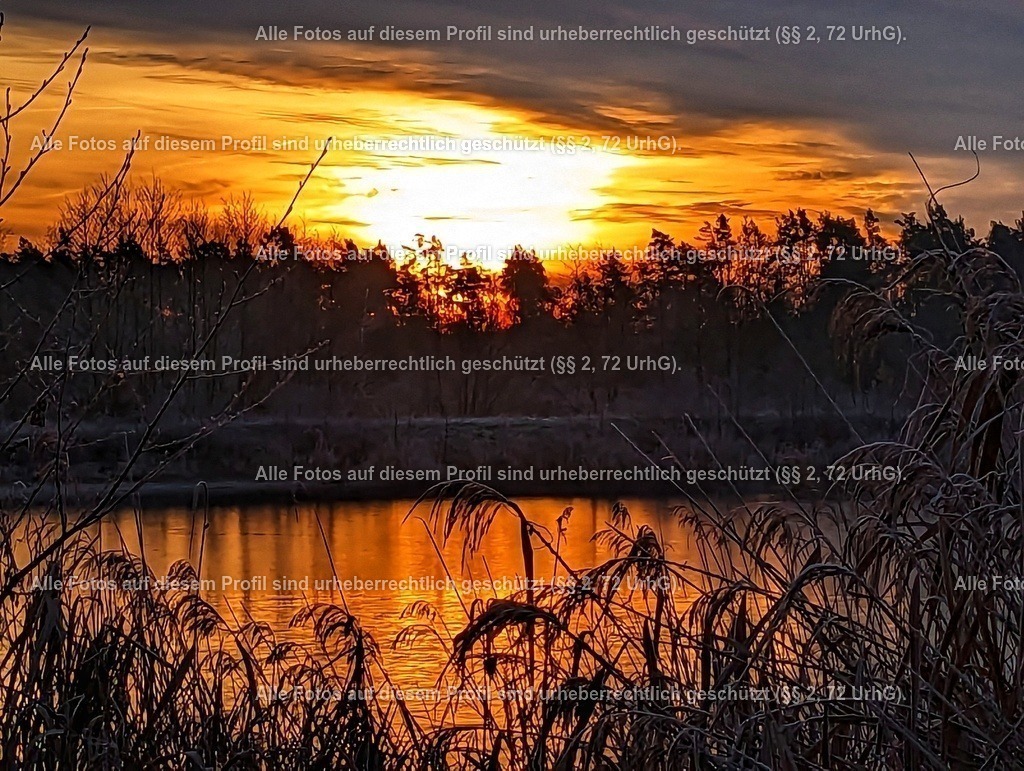 PXL_20231208_072220037-01 | krollfotografie - Realisiert mit Pictrs.com