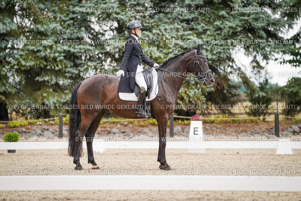 DSC07003 | Pferdegrafie