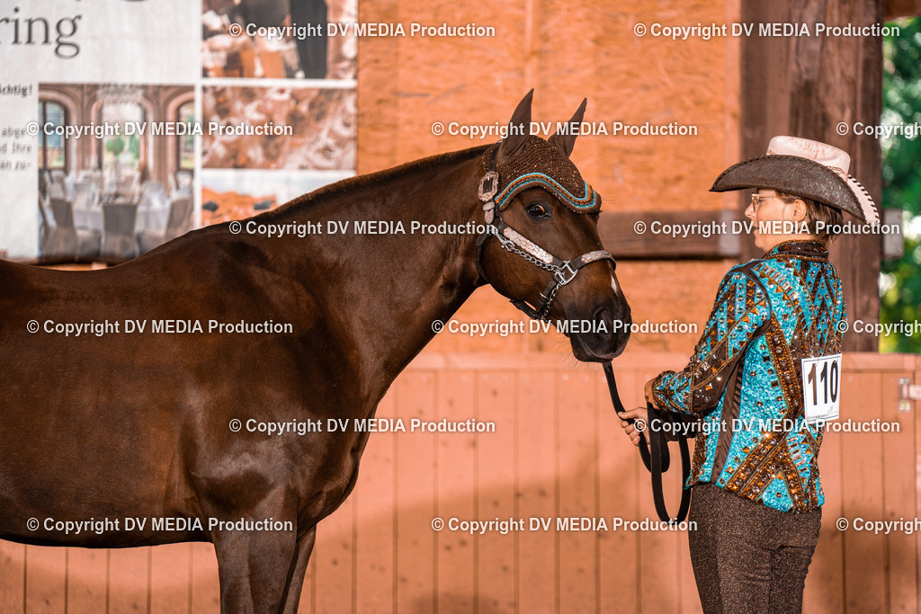 NE100110 | dv-media-shop - Realisiert mit Pictrs.com