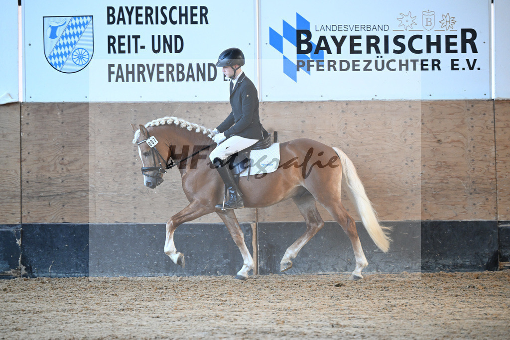 Kat-Nr. 7 Narcotic v. Nakuri_ZG Hackfurt u Weiser_43250447 | hf-fotografie - Realisiert mit Pictrs.com