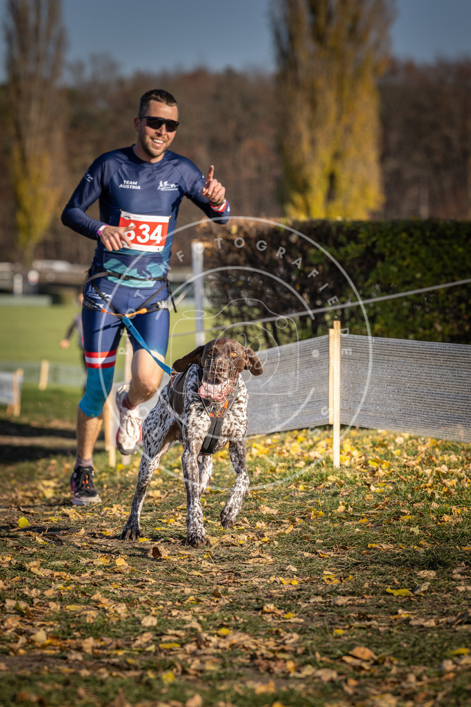 CaniXpix_DV3A0196 | Hundefotografie, Tierfotograf, Pfotenfotografie, Fotoshooting Hund, Hunde Portrait, Hundesport, Hundeportraits, Heideshooting, Hunde, Sportfotograf, Hundefotograf, Turnierhundsport, THS,  - Realisiert mit Pictrs.com