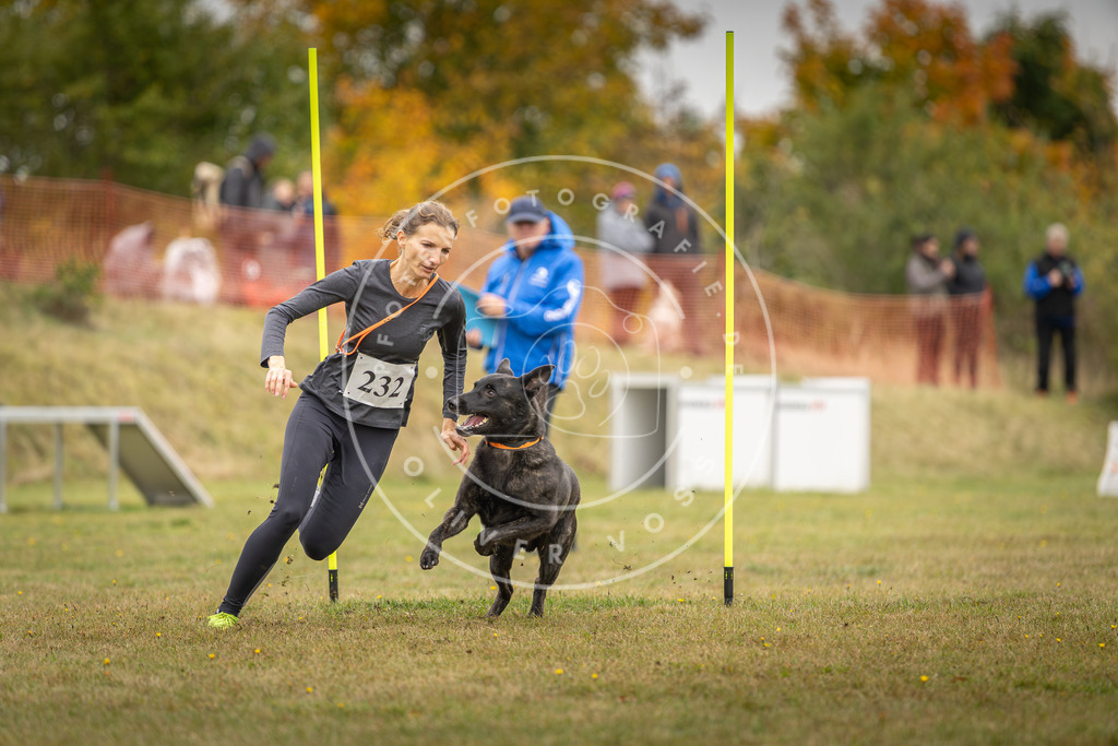 Pfotenfotografie_DV3A4244 | Hundefotografie, Tierfotograf, Pfotenfotografie, Fotoshooting Hund, Hunde Portrait, Hundesport, Hundeportraits, Heideshooting, Hunde, Sportfotograf, Hundefotograf, Turnierhundsport, THS,  - Realisiert mit Pictrs.com