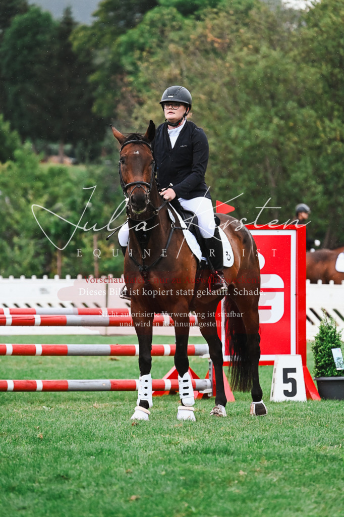 DSC_6514 | Pferde- und Turnierfotografie in Westsachsen. Pferdeportraits, Auftragszeichnungen und intuitive Kunst.