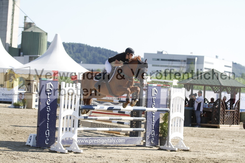 _MG_6532 | equestrian-live-com