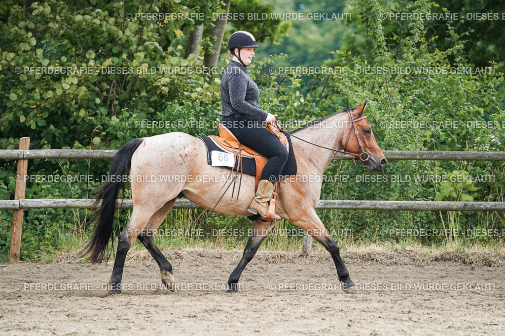 DSC04500 | Pferdegrafie