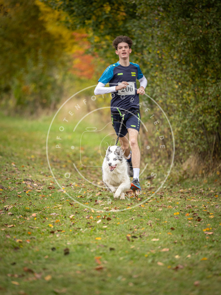 Pfotenfotografie_DV3A3789 | Hundefotografie, Tierfotograf, Pfotenfotografie, Fotoshooting Hund, Hunde Portrait, Hundesport, Hundeportraits, Heideshooting, Hunde, Sportfotograf, Hundefotograf, Turnierhundsport, THS,  - Realisiert mit Pictrs.com