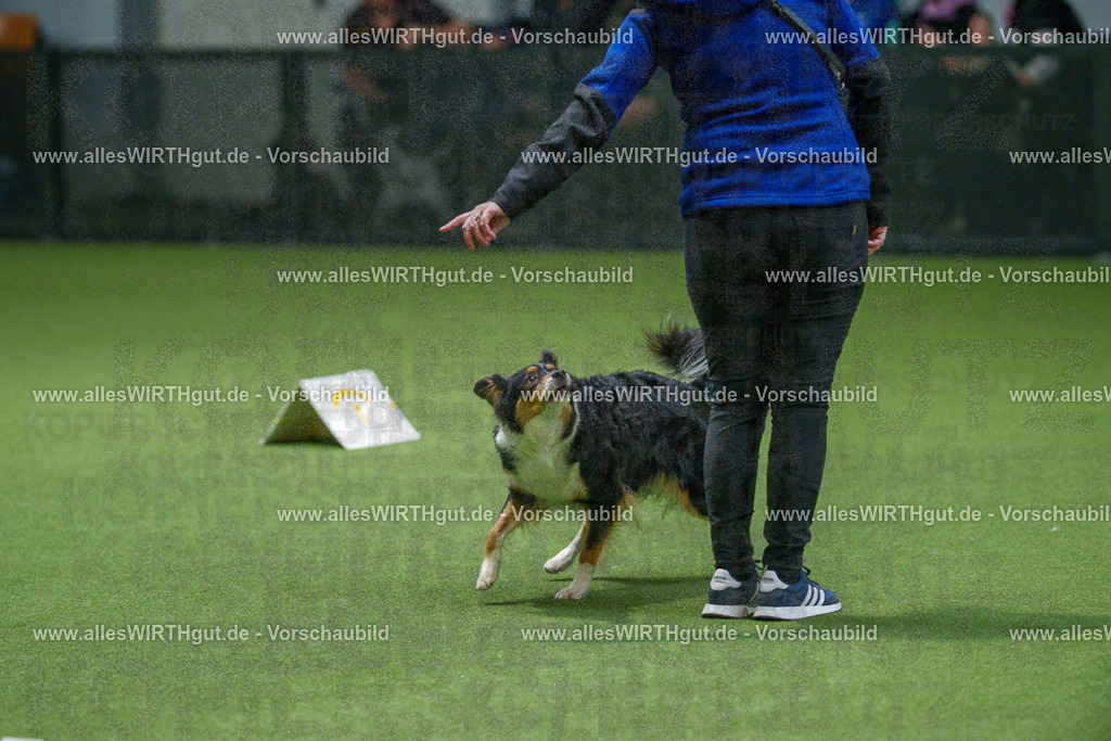 7R508145 | Professionelle Tierfotografie in Mönchengladbach von Daniel Wirth (allesWIRTHgut). Liebevolle & natürliche Bilder von Hunden & Katzen für unvergessliche Erinnerungen.