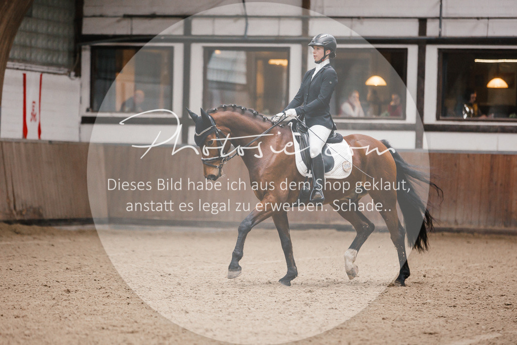 3I6A6552 | Stimmungsvolle Portraits und Reitsportfotografie im Ruhrgebiet und im Münsterland.

Pferdefotografie, Hundefotografie, Tierfotografie, Reportagen, Portraits von Tier und Mensch, Turnierfotografie in Bochum, Recklinghausen, Marl, Haltern am See, Dülmen.. - Realisiert mit Pictrs.com