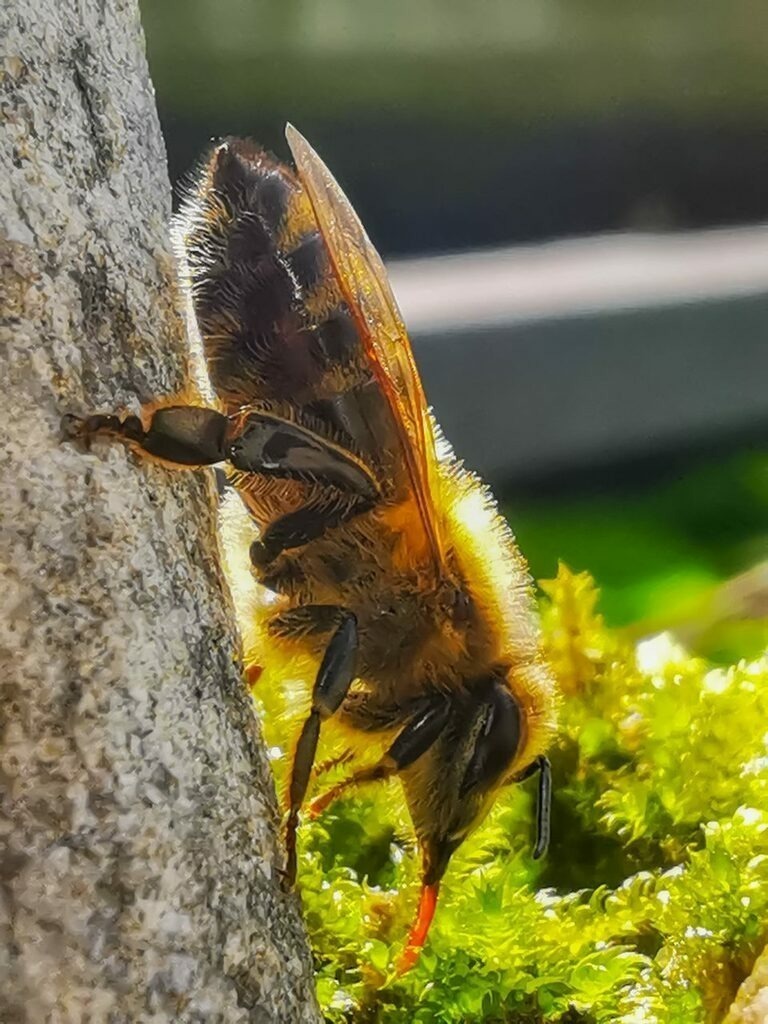 PSX_20220907_223453 | mtkfoto_ - Realisiert mit Pictrs.com