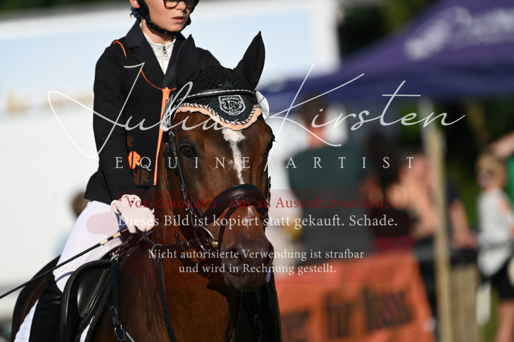 DSC_4749 | Pferde- und Turnierfotografie in Westsachsen. Pferdeportraits, Auftragszeichnungen und intuitive Kunst.