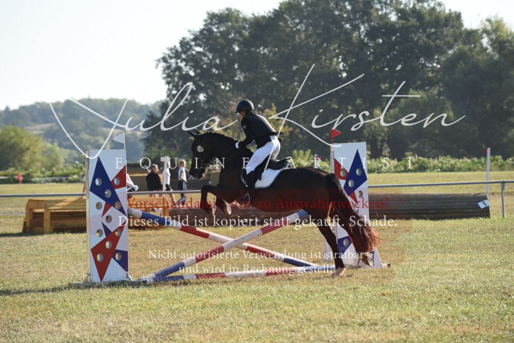 DSC_5567 | Pferde- und Turnierfotografie in Westsachsen. Pferdeportraits, Auftragszeichnungen und intuitive Kunst.