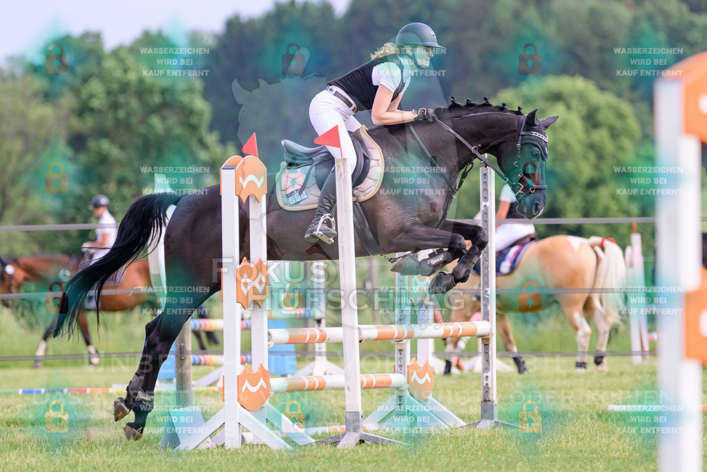 30052026-Forstinning-Prfg20-0388 | Fokus Hufschlag Fotografie - Realisiert mit Pictrs.com