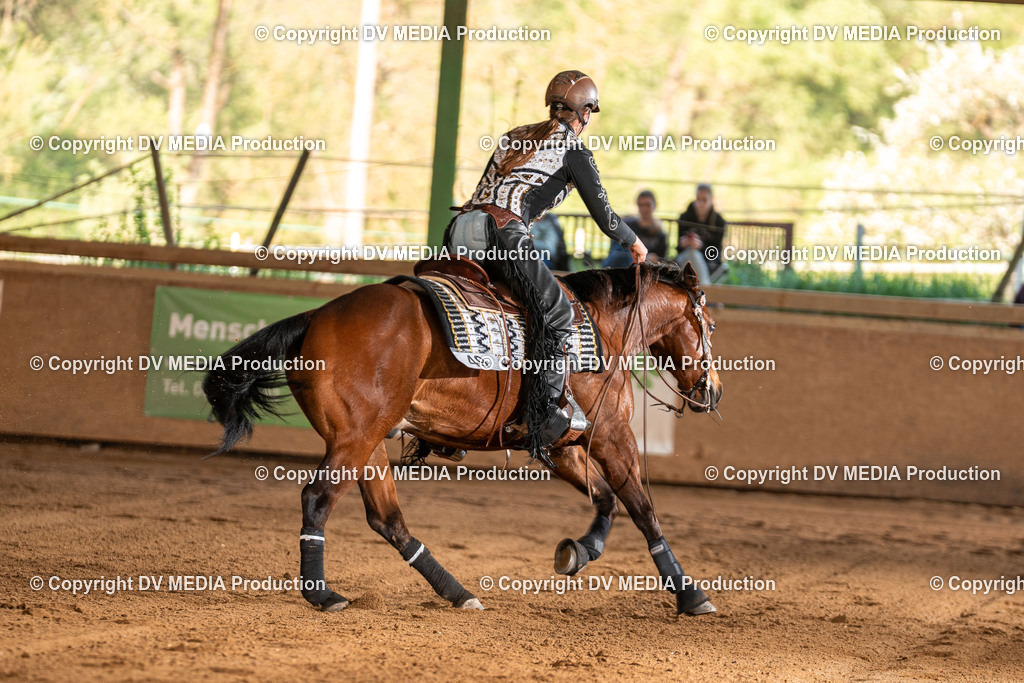 Balingen Tag 3-1503 | dv-media-shop - Realisiert mit Pictrs.com