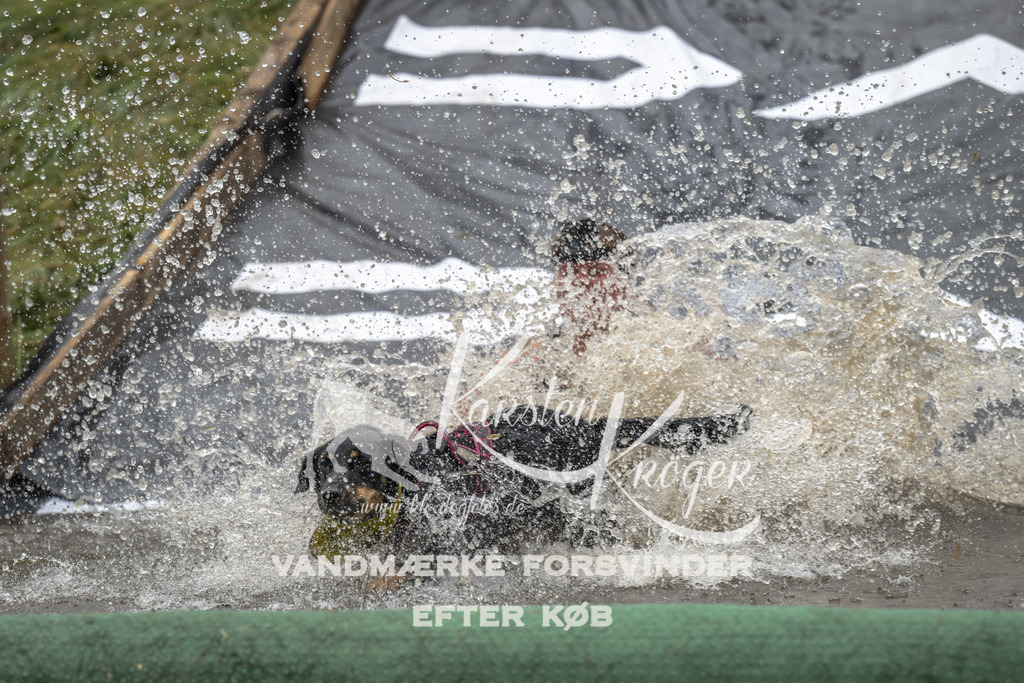 1339_ZZ92884 | kk-dogfotos