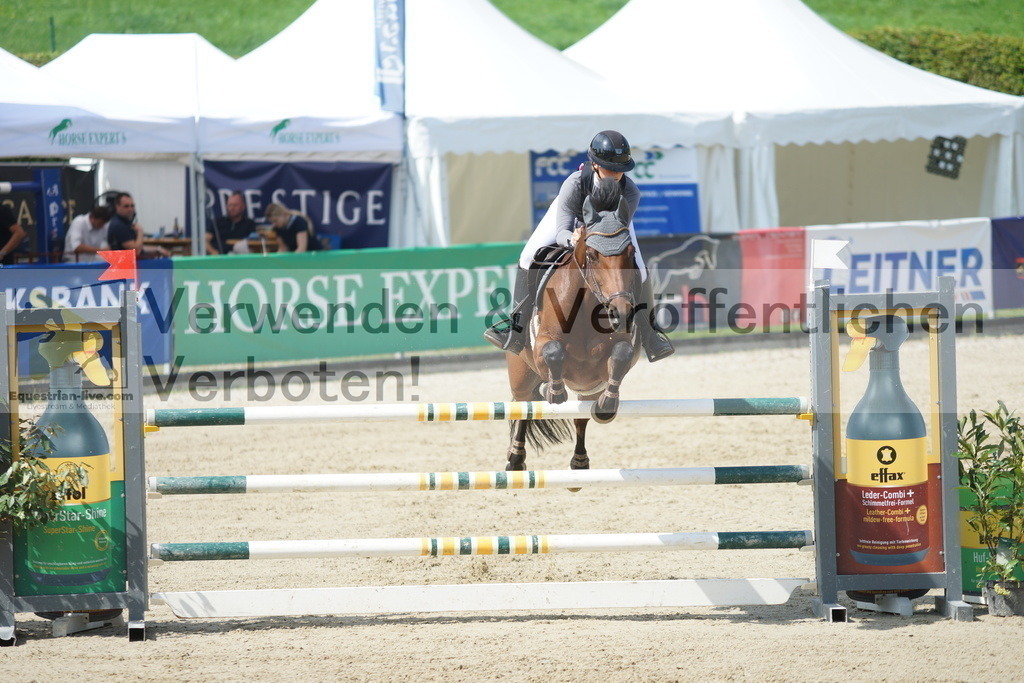 DSC09118 | equestrian-live-com
