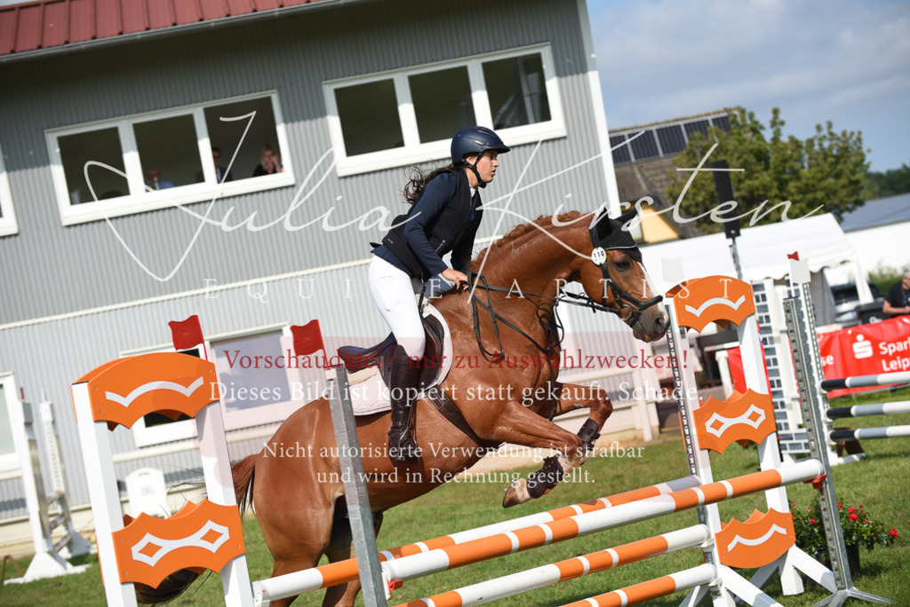 DSC_8919 | Pferde- und Turnierfotografie in Westsachsen. Pferdeportraits, Auftragszeichnungen und intuitive Kunst.