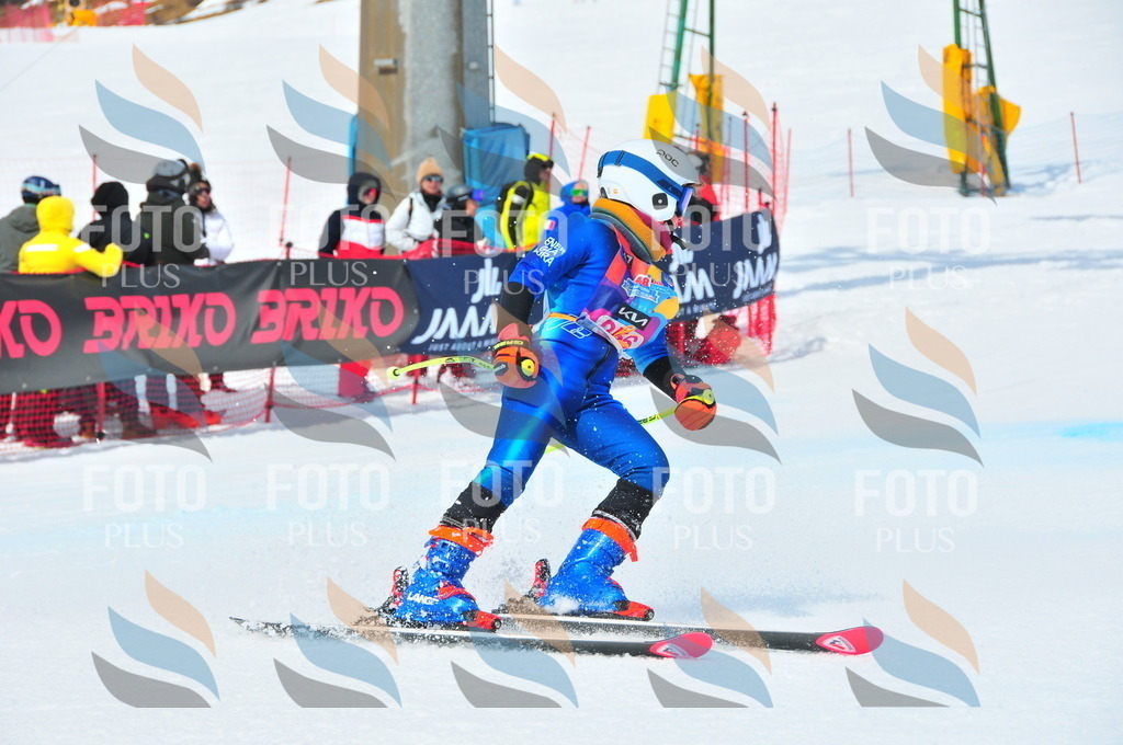 DSC_6140 | holidayphoto