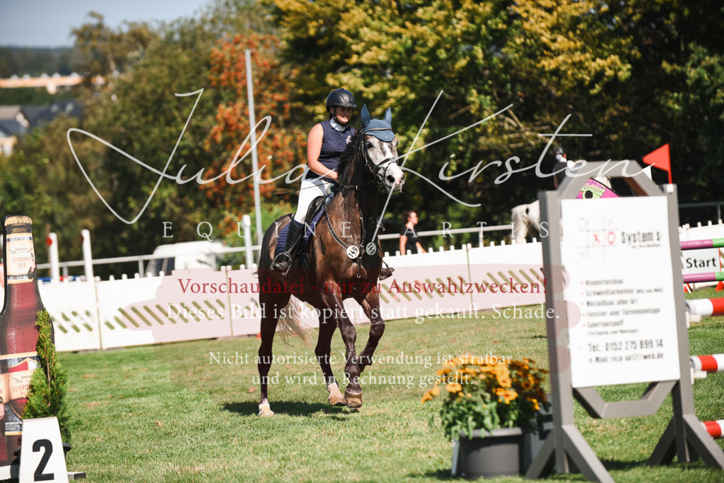 DSC_2882 | Pferde- und Turnierfotografie in Westsachsen. Pferdeportraits, Auftragszeichnungen und intuitive Kunst.