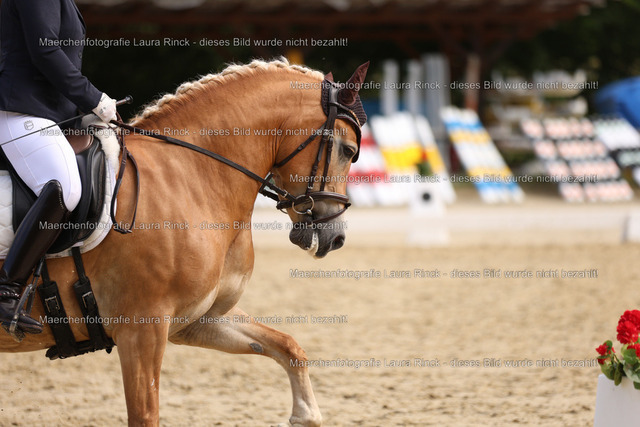 HG9A1539 | laurarinckfotografie - Realisiert mit Pictrs.com