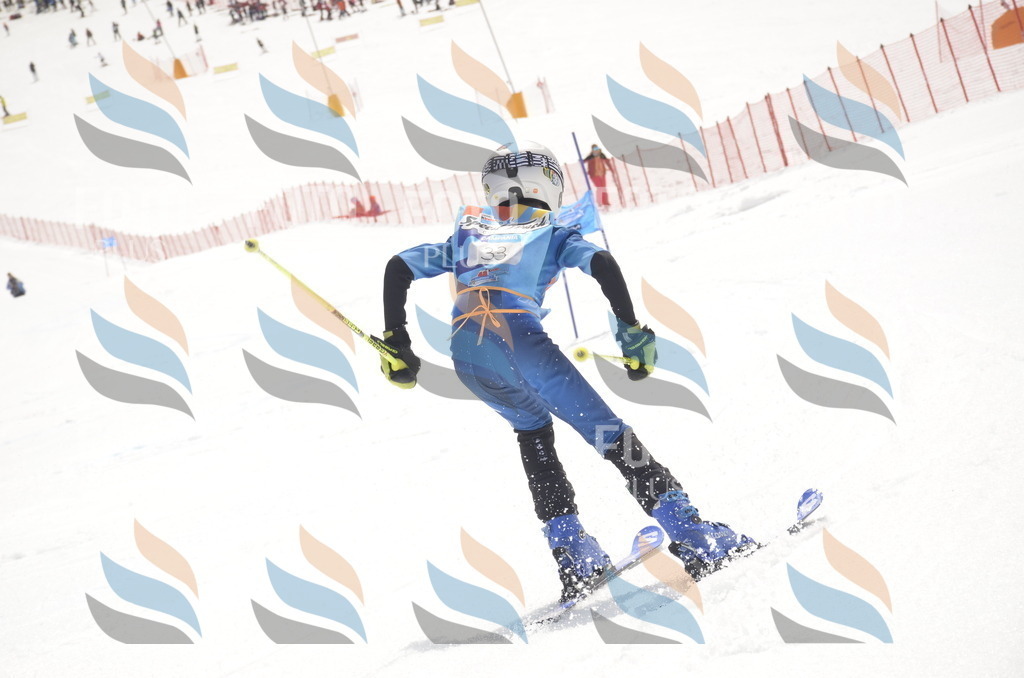 _ELE8636 | holidayphoto