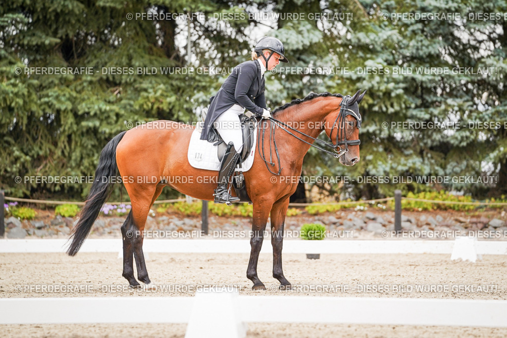 DSC07319 | Pferdegrafie