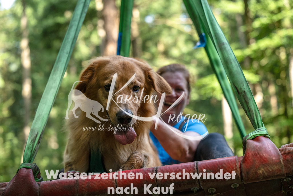 1117_ZZ94617-Bearbeitet | kk-dogfotos