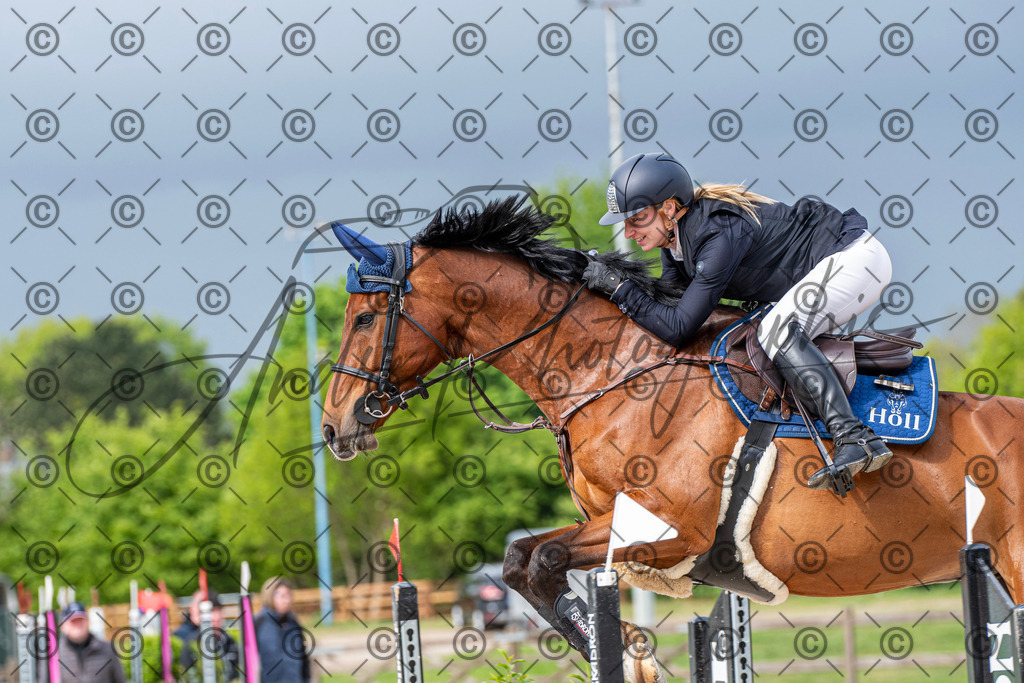 KPT_0209 | andre_photographic