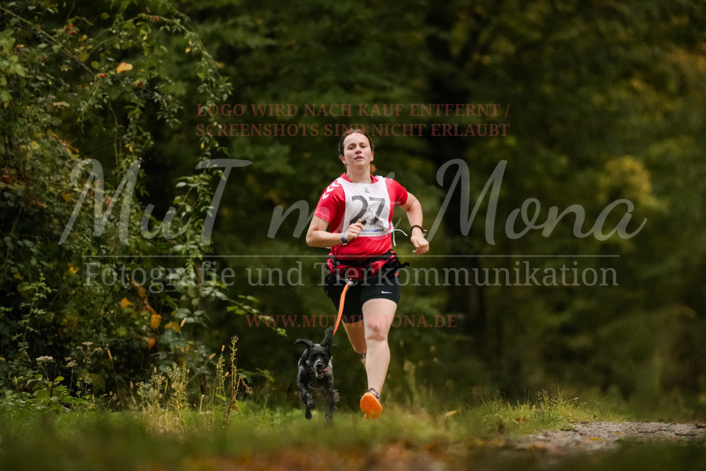 20251005_THS_Turnier-5 | MuT (Mensch und Tier) mit Mona - Fotografie und Tierkommunikation - Realisiert mit Pictrs.com