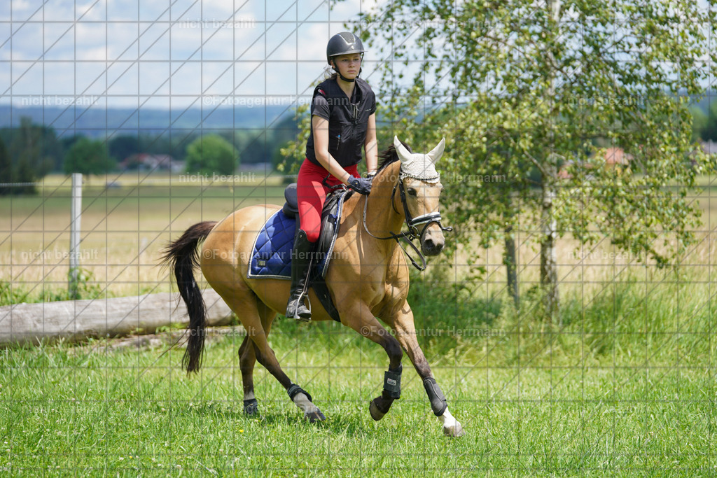 20240622-FAH07252 | Turnierfotografen Bayern, Reitsportbilder aus dem Geländekurs mit Felix Etzel auf dem Gut Waitzacker 2024
