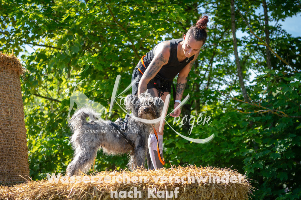 1021STR_5390 | kk-dogfotos