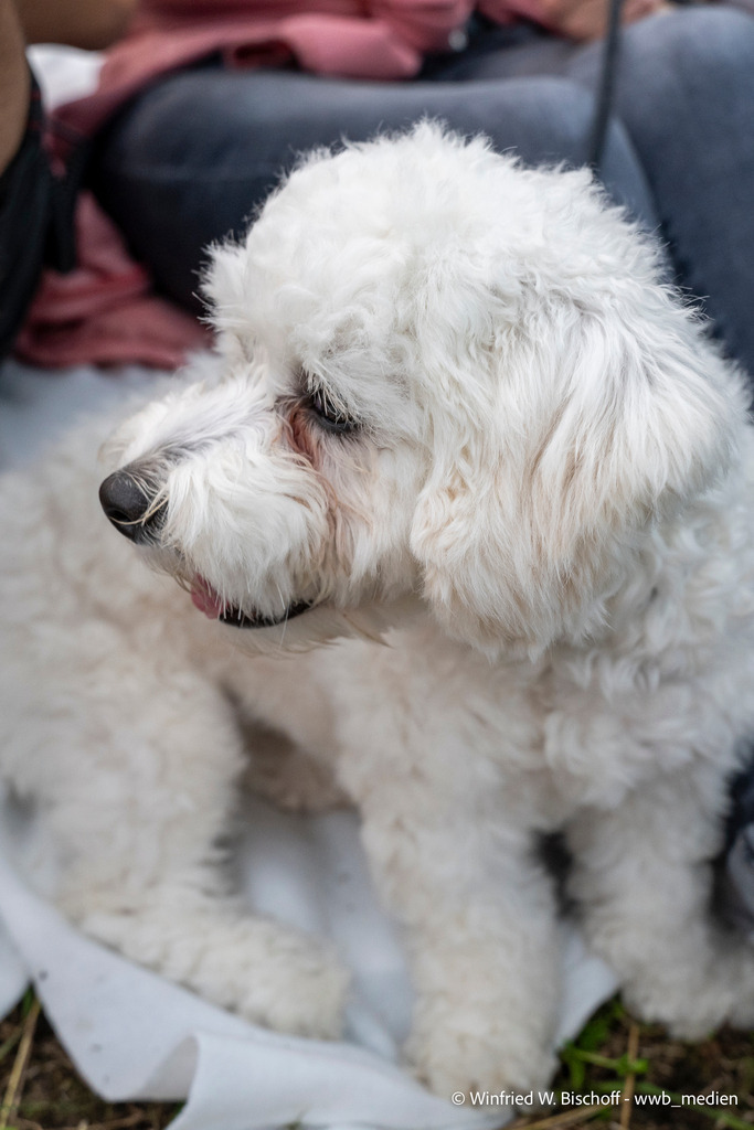 _DSC1631 | <Fotografie> <Video> <Film> <Winfried Bischoff> - Realisiert mit Pictrs.com