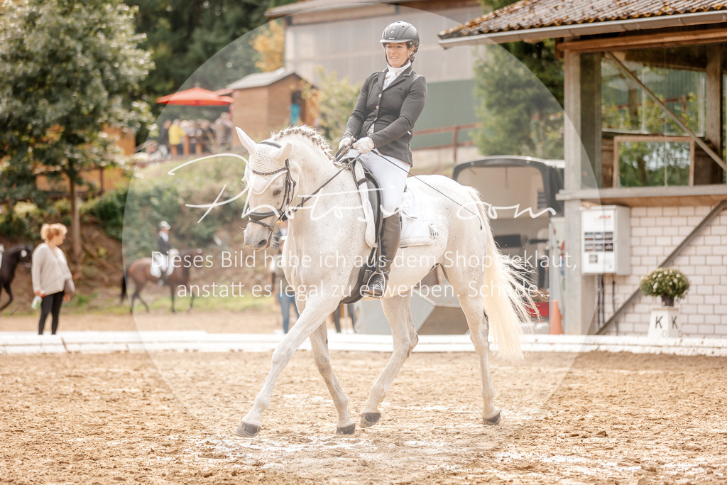 3I6A7780 | Stimmungsvolle Portraits und Reitsportfotografie im Ruhrgebiet und im Münsterland.

Pferdefotografie, Hundefotografie, Tierfotografie, Reportagen, Portraits von Tier und Mensch, Turnierfotografie in Bochum, Recklinghausen, Marl, Haltern am See, Dülmen.. - Realisiert mit Pictrs.com