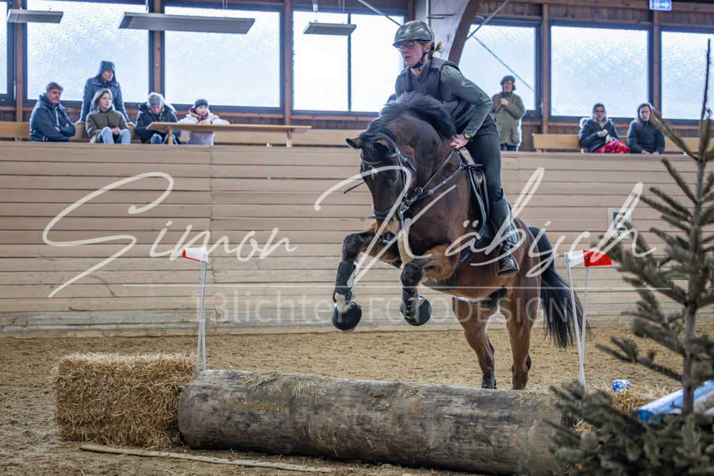 20260221-_3LI9931 | Tierfotografie Pferde, Hunde, Katzen, Haustiere.
Turnierfotografie Reitturniere, Reiten, Springreiten, Dressur in Hanau, dem Main-Kinzig-Kreis und dem Rhein-Main- Gebiet um Frankfurt
